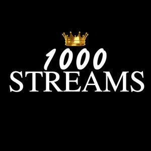 First 1,000+ Streams Spotify Promotion